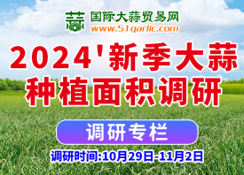 2024’大蒜種植面積有多大？ ()