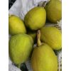 冷庫(kù)新疆庫(kù)爾香梨80-100克價(jià)格1.4元，100克以上價(jià)格1.8元。