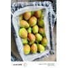 紅香酥梨，陜西紅香酥梨價(jià)格8毛到1.2元，需要請(qǐng)與及時(shí)雨果蔬聯(lián)系