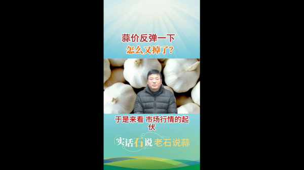 蒜價反彈一下怎么又掉了？ ()