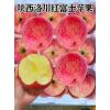 陜西冷庫(kù)冰糖心紅富士蘋(píng)果代購(gòu)代銷(xiāo)，紅香酥梨批發(fā)，陽(yáng)光玫瑰葡萄