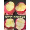 陜西冷庫(kù)冰糖心紅富士蘋(píng)果，陽(yáng)光玫瑰葡萄，紅香酥梨產(chǎn)地代購(gòu)代銷(xiāo)