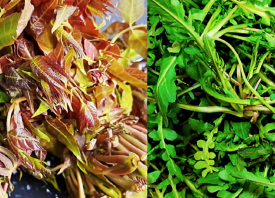 杭州：蔬菜批發(fā)、零售價格下跌 ()