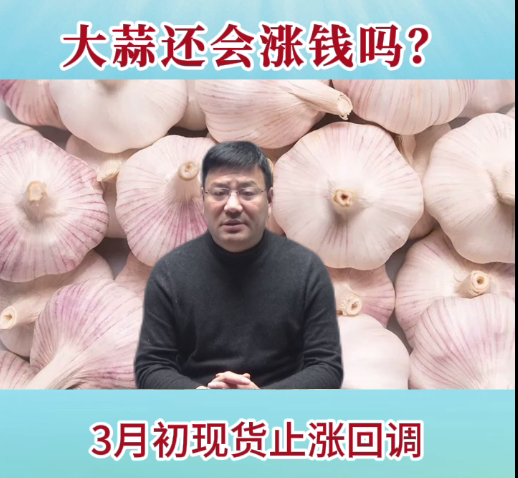 大蒜還會(huì)漲錢嗎？ ()