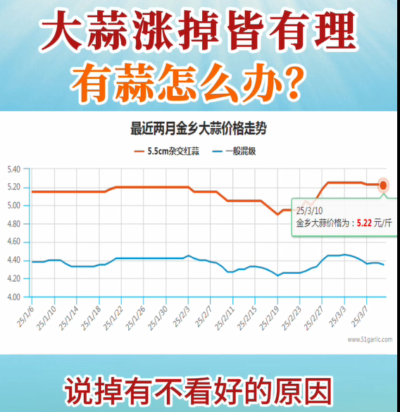 大蒜漲掉皆有理，有蒜怎么辦？ ()